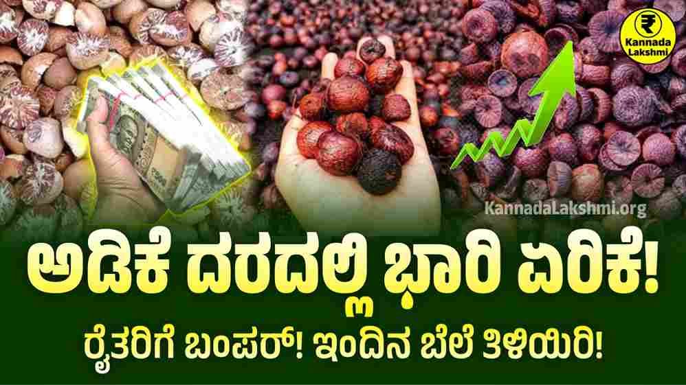 Arecanut Price Today