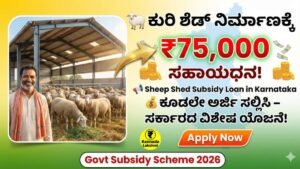 Sheep Shed Subsidy Loan