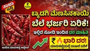 Red Chilli Price Hiked